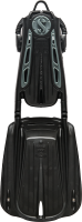 Seawing Supernova Schwarz