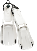 Seawing Supernova Weiss